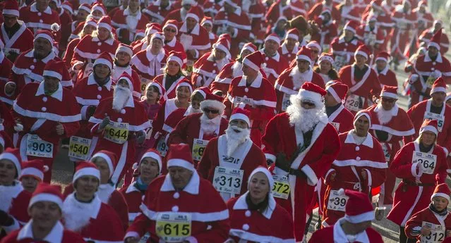 Runners dressed as Father Christmas start in the Nikolaus Lauf (Santa Claus Run) in the east German town of Michendorf, southwest of Berlin December 7, 2014. (Photo by Hannibal Hanschke/Reuters)