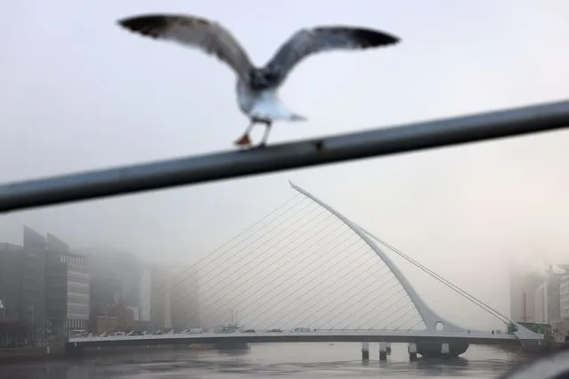 Fog at the Samuel Beckett Bridge over the Liffey in Dublin, Ireland on December 12, 2022. (Photo by Dara Mac Dónaill/The Irish Times)