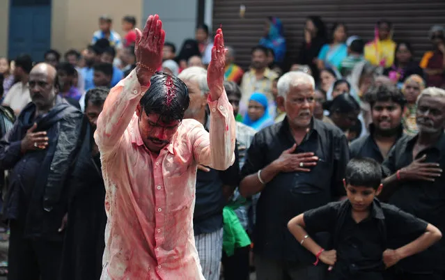 Indian Shia Muslim men flagellate themselves during the mourning procession on the tenth day of Muharram, which marks the day of Ashura, in Chennai on October 12, 2016. (Photo by Arun Sankar/AFP Photo)