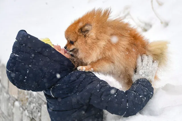 A woman plays with a dog during a snowstorm in Vladivostok, Russia on November 20, 2020. Primorye Territory has been hit by rain and a snowstorm which came along with high winds, disrupting power, water and heating supply, Internet connection, and public transport. About 148,000 homes remain without power. (Photo by Yuri Smityuk/TASS)