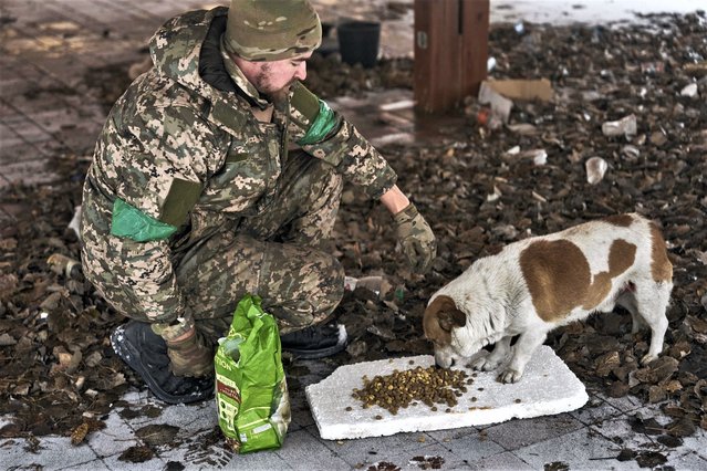 A Ukrainian soldier feeds a dog in Bakhmut, Donetsk region, Ukraine, Tuesday, February 14, 2023. The relentless Russian bombardment has reduced Bakhmut to smoldering wasteland with few buildings still standing intact as Russian and Ukrainian soldiers have fought ferocious house-to-house battles amid the ruins. (Photo by Libkos/AP Photo)