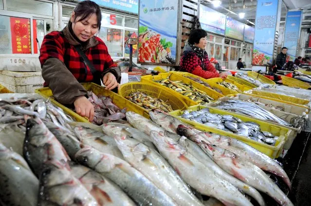 Seafood vendors wait for customers at a market in Lianyungang, Jiangsu province, China November 10, 2015. China's October inflation data showed persisting if not intensifying deflationary pressure, spurring analysts to expect more moves to stimulate the slowing economy by year-end. (Photo by Reuters/China Daily)