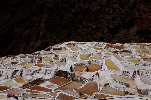 Workers stand among pools of salt at the Maras mines on a mountain at the Urubamba valley in the Andean region of Cusco, Peru, September 28, 2016. (Photo by Nacho Doce/Reuters)