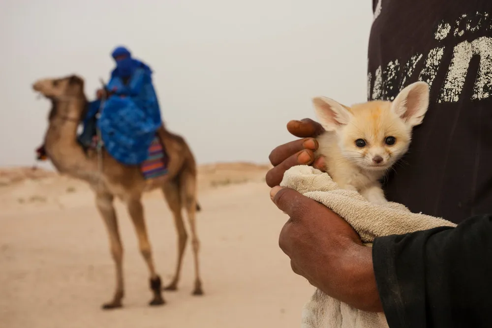 2015 Fritz Pölking Nature Photography Prize