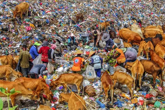 People search for items to sell at the Alue Liem landfill in Lhokseumawe on May 5, 2023. (Photo by Azwar Iipank/AFP Photo)