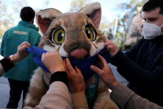 People arrange the face mask of Metropolitan Zoo mascot while preparing for the announcement of the upcoming reopening of local zoos under a new visits protocol, as the spread of coronavirus disease (COVID-19) continues in Santiago, Chile on September 14, 2020. (Photo by Ivan Alvarado/Reuters)