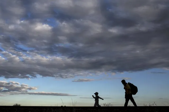 A migrant from Syria walks along rail tracks with his son as they arrive to a collection point in the village of Roszke in Hungary after crossing the border from Serbia, September 6, 2015. (Photo by Marko Djurica/Reuters)