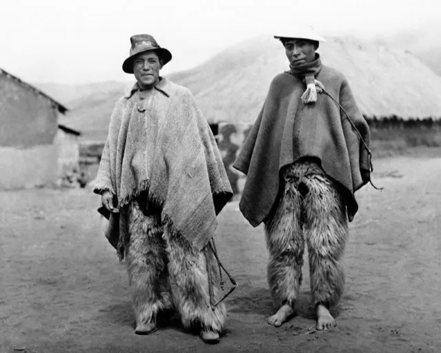 In the highlands of Ecuador survive thousands of Quichua Indians, whose ancestors built up great civilizations in prehistoric times. They have changed little in dress and habits during thousands of years. Dandies of the Andes are these dashing Xowboys of the region of Colta, Ecuador, on May 5, 1938. They look after a few cattle but have no horses. Picture made during the expedition of Captain G. Allan Hancock to Ecuador. (Photo by AP Photo)