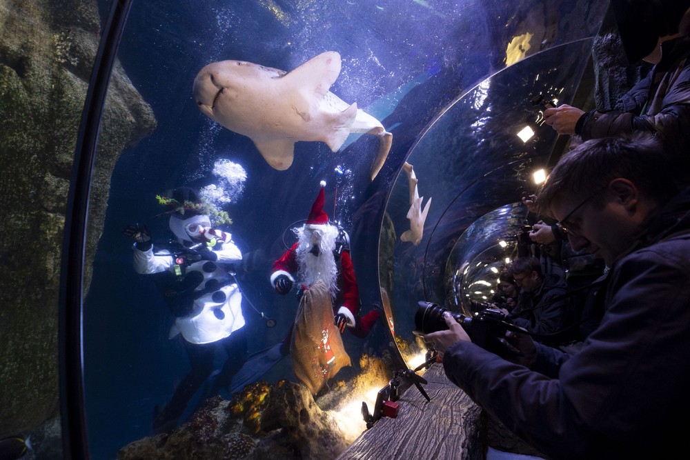 Pictures of the Year 2024, Part 227/2406