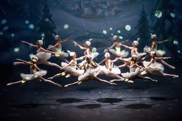 Dancers of the Moscow Ballet of Classical Choreography “La Classique” perform on stage during the premiere of Tchaikovsky's ballet “The Nutcracker” at the Multifunctional Concert Hall “Jordanki” in Bydgoszcz, Poland, 15 November 2016. The ballet company inaugurated its first Polish tour. (Photo by Tytus Zmijewski/EPA)