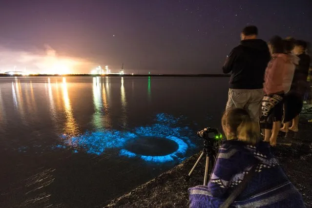 The hottest summer for decades has created an outbreak of a rare and beautiful phenomenon – glowing seas. The temperatures have caused a surge in bioluminescent plankton around the British coast. Tim Bow was stunned by the spectacle at Aberavon Beach, Port Talbot, Wales on July 23, 2018. The light occurs due to a complex chemical reaction, known as bioluminescence. Organisms such as jellyfish, squid and fireflies generally use the production of light as a defence against predators. (Photo by Tim Bow/APEX News and Pictures)