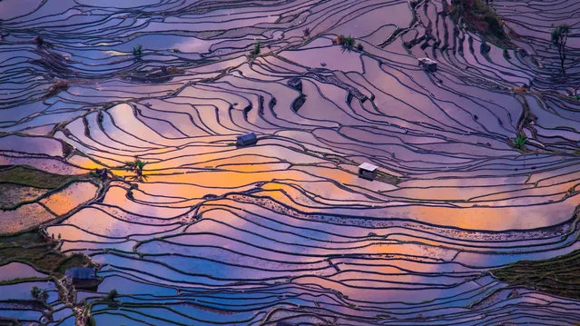 Rice terraces in Yuanyang, China, photographed 30 minutes before the sun went down to show a mirrored landscape reflecting the colors of twilight on October 12, 2015. (Photo by Alex Goh Chun Seong/MediaDrumWorld via ZUMA Press)