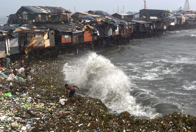 Filipino villagers collect washed up materials along the shore of Manila Bay, Philippines, 26 July 2023. According to the Philippines' National Disaster Risk Reduction and Management Council (NDRRMC), at least one person died and two others were injured after powerful typhoon Doksuri made landfall in northern Philippines, with gale-force winds and torrential rain, leaving thousands of residents displaced from different villages. (Photo by Francis R. Malasig/EPA/EFE)