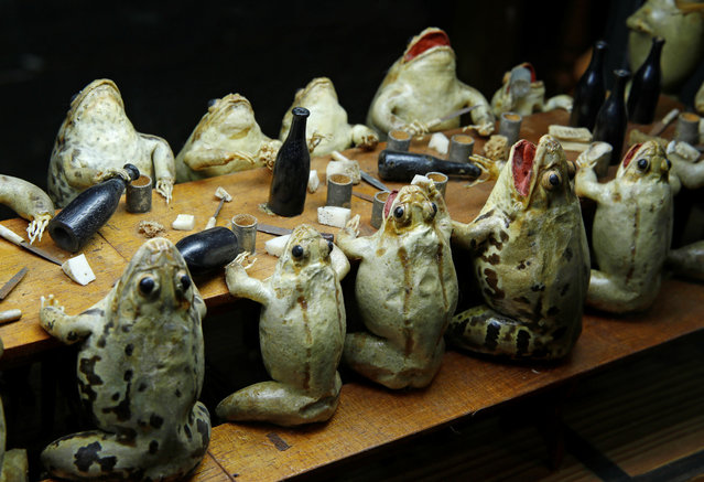 Frogs representing eating at an electorate diner are pictured at the Frog Museum, a collection of 108 stuffed frogs in scenes portraying everyday life in the 19th-century and made by Francois Perrier, in Estavayer-le-Lac, Switzerland on November 7, 2018. (Photo by Denis Balibouse/Reuters)