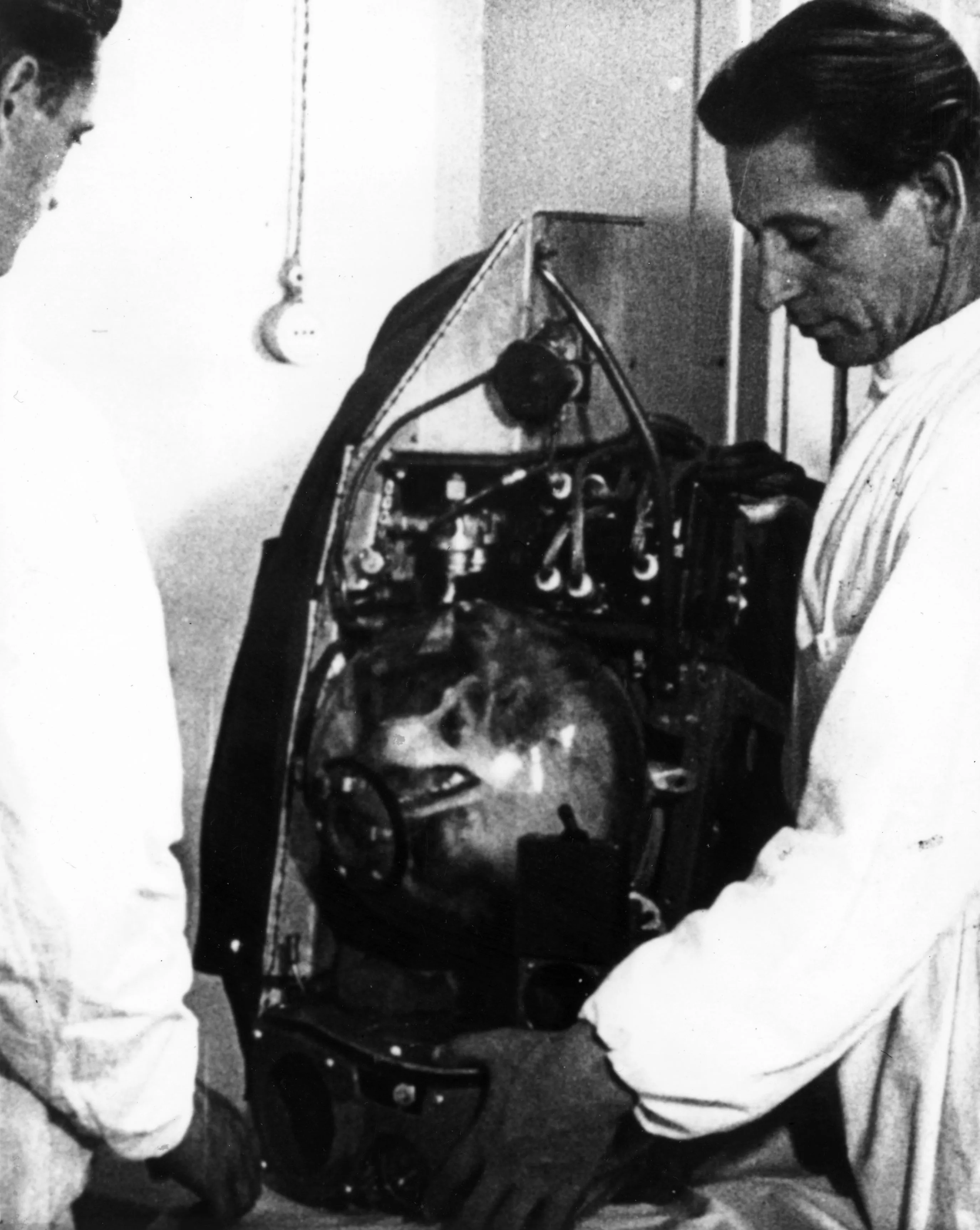 Какая собака была первая в космосе. 1957 Лайка в космосе. Лайка первый космонавт. Собака лайка в космосе. Собака лайка перед полетом в космос.