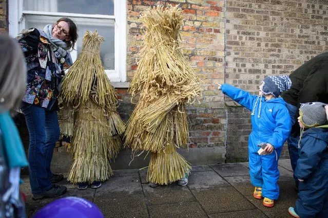 Two of the three Straw Bears stop for a rest during the annual Whittlesea Straw Bear Festival parade on January 14, 2017 in Whittlesey, United Kingdom. The traditional event was revived in 1980 and features a “Straw Bear” and it's children being led through the streets of the English village of Whittlesey, near Peterborough, United Kingdom. The bear dances, while musicians break off into groups around the village square to perform with many different Morris, Molly, Sword, Mummer and Appalachian dancing teams. (Photo by Leon Neal/Getty Images)