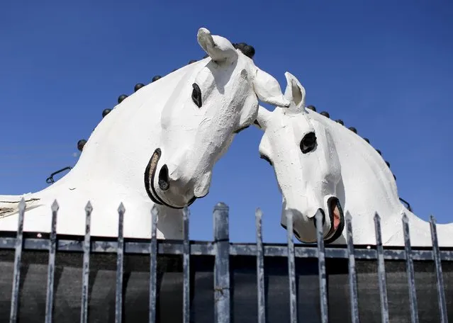 Life-sized papier mache horses sit abandoned behind a fence at a fairground in Del Mar, California March 4, 2016. (Photo by Mike Blake/Reuters)