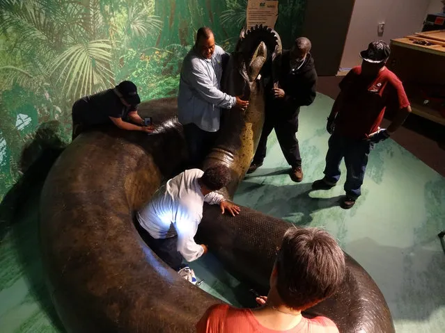 Titanoboa: Monster Snake