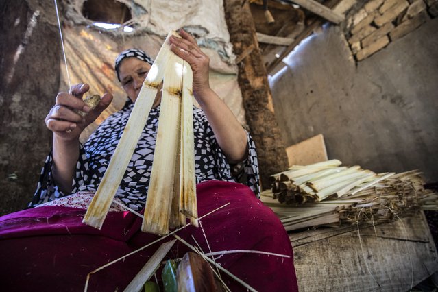 A woman cuts papyrus by a thread at the workshop in the village of al-Qaramous in Sharqiyah province, in Egypt's northern fertile Nile Delta region, some kilometres northeast of the capital on July 28, 2021. (Photo by Khaled Desouki/AFP Photo)