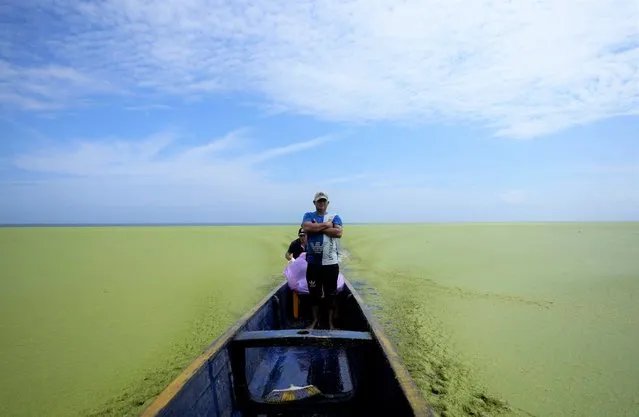 A fisherman stands on a boat at the Cienaga Grande de Santa Marta, in Nueva Venecia, Colombia, Tuesday, October 12, 2021. About 400 families live in stilt houses in the Cienaga Grande, which is the largest of the swampy marshes located in Colombia between the Magdalena River and the Sierra Nevada de Santa Marta mountains. (Photo by Fernando Vergara/AP Photo)