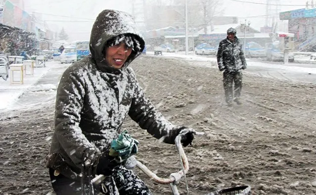 A cyclist rides along a street in the snow in Yakeshi, Inner Mongolia Autonomous Region, China, May 3, 2015. Picture taken May 3, 2015. (Photo by Reuters/China Daily)