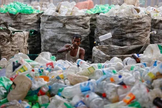 A worker removes labels from used plastic bottles as he works in a plastic bottle recycling factory in Dhaka, Bangladesh, on February 20, 2024. (Photo by Mohammad Ponir Hossain/Reuters)