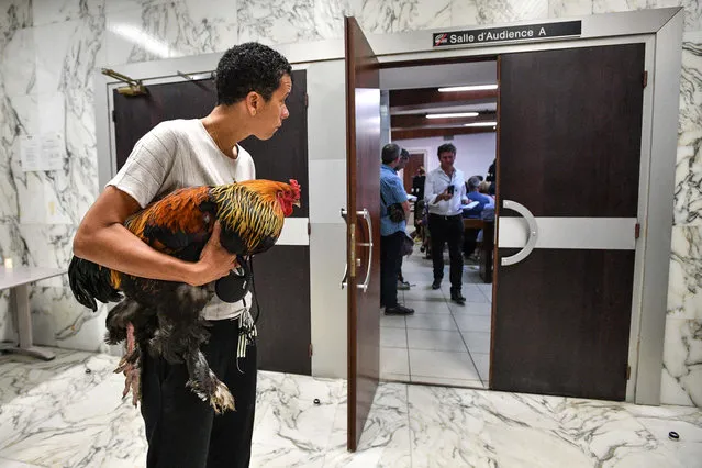 A woman holds a rooster inside the high court (Tribunal de Grande Instance) on July 4, 2019, where the justice is set to rule on whether a lively cockerel should be considered a neighbourly nuisance in a case that has led to shreiks of protest in the countryside. (Photo by Xavier Leoty/AFP Photo)
