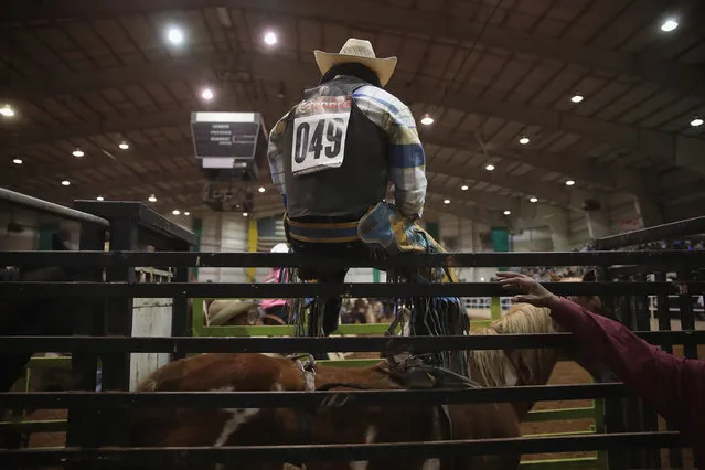 A cowboy prepares for the bronc competition at the Bill Pickett Invitational Rodeo on April 1, 2017 in Memphis, Tennessee. (Photo by Scott Olson/Getty Images)