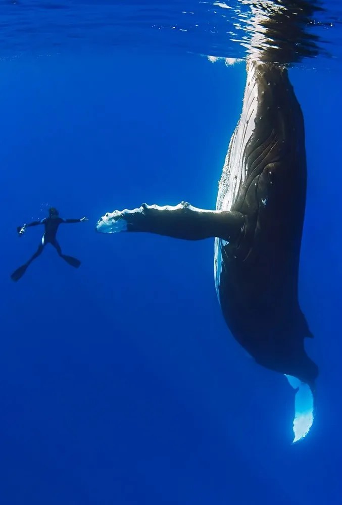 Simply Some Photos: Animals