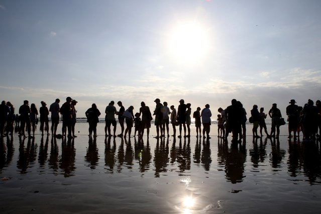 Tourists line up as they prepare to release baby sea turtle at Kuta beach, Bali, Indonesia on Tuesday, July 23, 2024. About three hundred newly hatched Lekang turtle were released during campaign to save the endangered sea turtle. (Photo by Firdia Lisnawati/AP Photo)