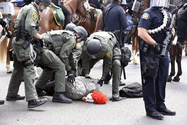 An individual wearing a clown mask is arrested by law enforcement officers after failing to disperse the area afterr a US Republican Presidential candidate Donald Trump  rally at the Anaheim Convention Center in Anaheim, California, USA, 25 May 2016. The state of California will hold presidential primary elections on 07 June 2016. (Photo by Bob Riha/EPA)
