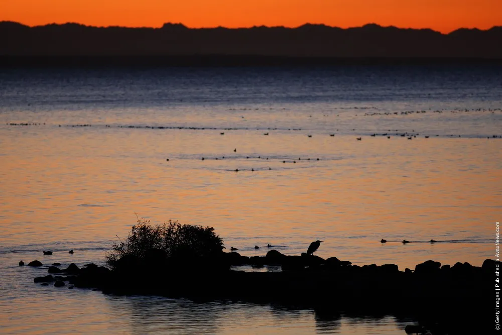 Environmentalists Challenge Salton Sea Development Project