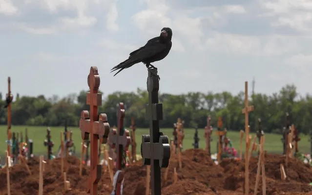 A bird sits on a cross amid newly-made graves at a cemetery in the course of Ukraine-Russia conflict in the settlement of Staryi Krym outside Mariupol, Ukraine on May 15, 2022. (Photo by Alexander Ermochenko/Reuters)
