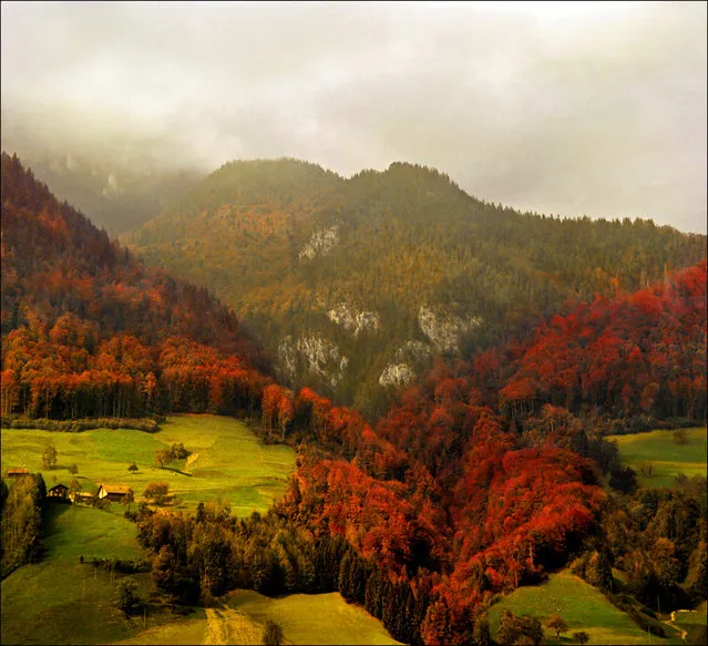 Red Heart – autumn landscape
