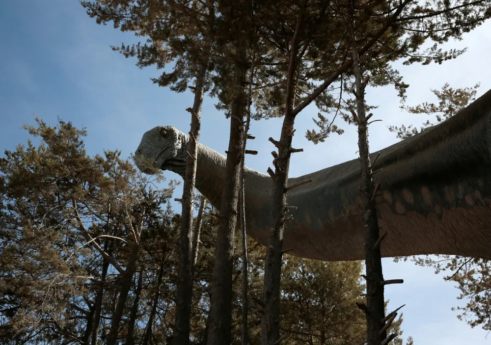 Following in a Dinosaur's Footsteps