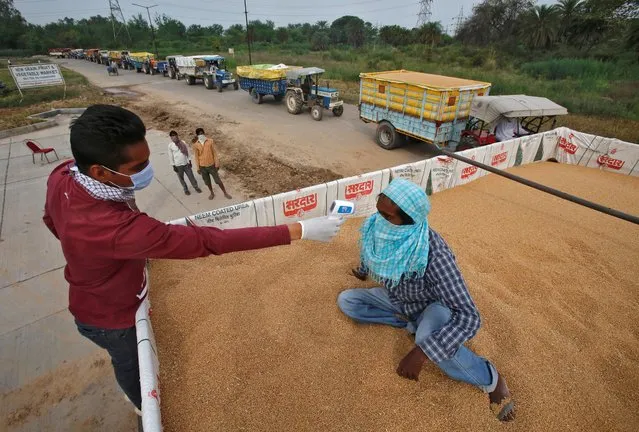 A health worker uses an infrared thermometer to check the temperature of a labourer sitting on wheat crop in a tractor trolley at an entry gate of a wholesale grain market, during a nationwide lockdown to slow the spreading of coronavirus disease (COVID-19) in Chandigarh, April 20, 2020. (Photo by Ajay Verma/Reuters)