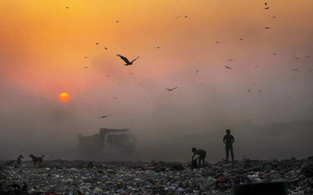 The Week in Pictures: October 11 – October 18, 2014. Part 5/5