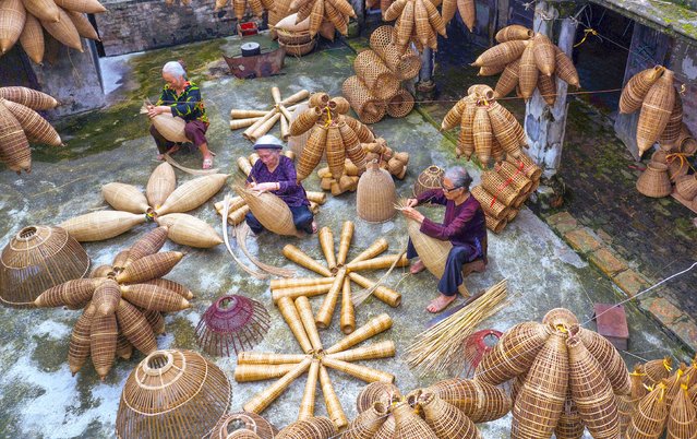 Weavers in Vietnam making traditional bamboo fish traps in the village of Thu Sy, 40 miles from Hanoi on January 22, 2025. The traps are woven from bamboo strips and the flexible wood of calamus, a palm species. (Photo by Sabina Akter/Solent News)