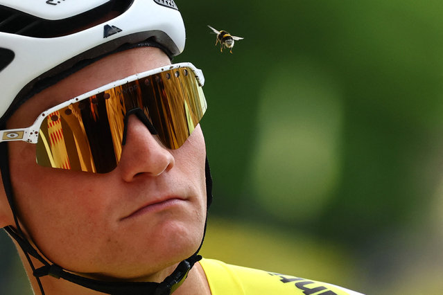A bee hovers above Alpecin-Deceuninck's Mathieu Van Der Poel wearing the yellow jersey before the start of Tour de France stage 4 in Amiens, France on July 8, 2025. (Photo by Sarah Meyssonnier/Reuters)