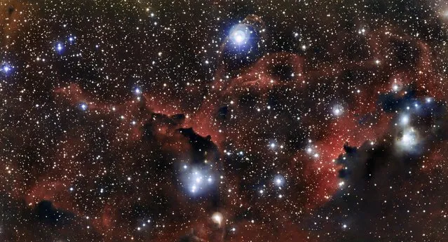An image from the European Southern Observatory, released February 4, 2013, shows the intricate structure of part of the Seagull Nebula, also known as IC 2177. These wisps of gas and dust form part of the “wings” of the celestial bird. This new view of the region was captured by the Wide Field Imager on the MPG/ESO 2.2-meter telescope at the ESO's La Silla Observatory in Chile. (Photo by ESO via AFP Photo)