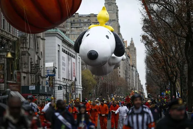 The Snoopy balloon floats down Central Park West during the 88th Macy's Thanksgiving Day Parade in New York November 27, 2014. (Photo by Eduardo Munoz/Reuters)