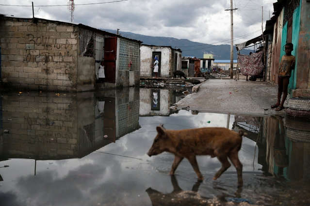 A boy stands near a flooded street after Hurricane Matthew passes Cite-Soleil in Port-au-Prince, Haiti, October 5, 2016. (Photo by Carlos Garcia Rawlins/Reuters)