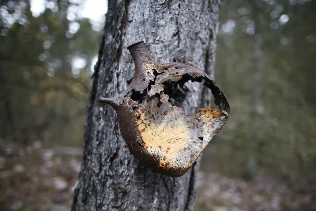 A rusty French flask hangs on a tree to indicate the way to the battlefield grave memorial of French WWI soldier Edouard Marius Ivaldi in Champagne, eastern France, November 3, 2015. (Photo by Charles Platiau/Reuters)