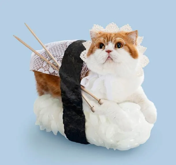Sushi Cats By Tange & Nakimushi Peanuts