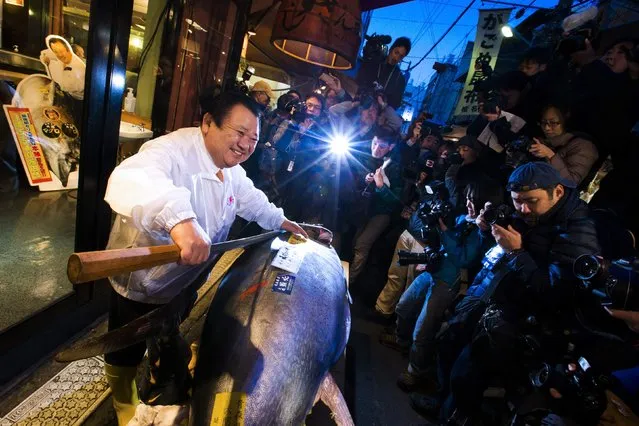 The President of the sushi restaurant chain Sushi Zanmai, Kiyoshi Kimura, removes the fin of a blue fin tuna outside his main restaurant at the outer Tsukiji market, in Tokyo January 5, 2015. (Photo by Thomas Peter/Reuters)