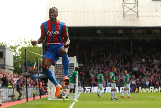 Wilfried Zaha of Crystal Palace celebrates scoring their first goal during the Premier League match between Crystal Palace and West Bromwich Albion at Selhurst Park on May 13, 2018 in London, England. (Photo by Hannah McKay/Reuters)