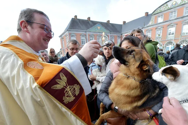Belgian priest Philippe Goosse blesses a German Shepherd dog during a religious service and blessing ceremony for animals, outside the Basilica of St Peter and Paul in Saint-Hubert, Belgium, November 3, 2016. (Photo by Eric Vidal/Reuters)