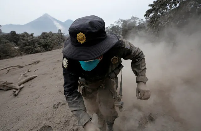 A police officer stumbles while running away after the Fuego volcano spew new pyroclastic flow in the community of San Miguel Los Lotes in Escuintla, Guatemala, June 4, 2018. (Photo by Luis Echeverria/Reuters)