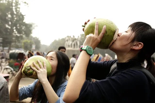 Chinese teachers drink green-coconut juice in a street in Dhaka, Bangladesh, 08 December 2015. Several foreign missions in Dhaka asked their nationals to limit their movements in Bangladesh after the recent killings of two foreigners including Italian aid worker Cesare Tavella and Japanese Kunio while security has been stepped up to ensure safety for the foreign citizens living in Bangladesh. (Photo by Abir Abdullah/EPA)