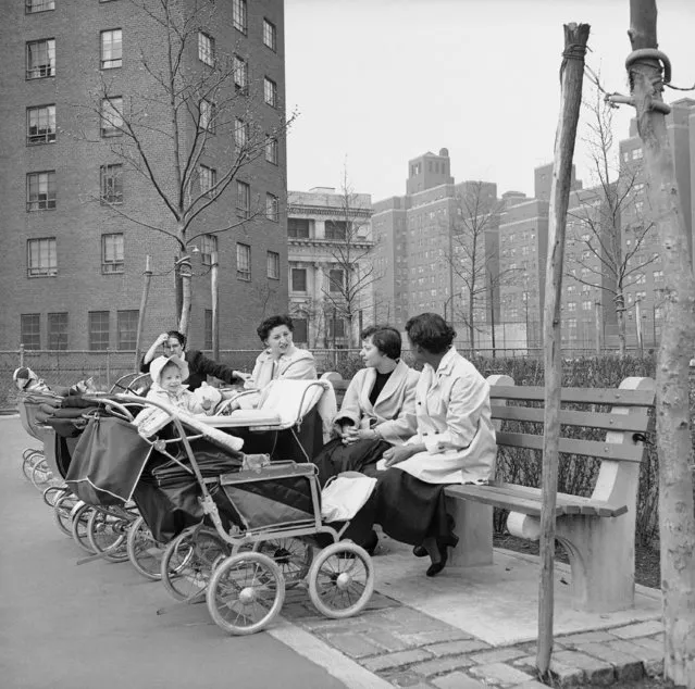 Mothers with babies in carriages sit in the playground of the New York City Housing Authority's Alfred E. Smith Houses on the Lower East Side, May 3, 1956. Blacks and whites live together in this housing project of 8,000 persons, half of whom are children. (Photo by Bob Wands/AP Photo)